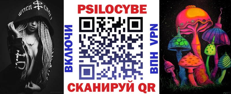 где продают   Камень-на-Оби  Галлюциногенные грибы Psilocybine cubensis 